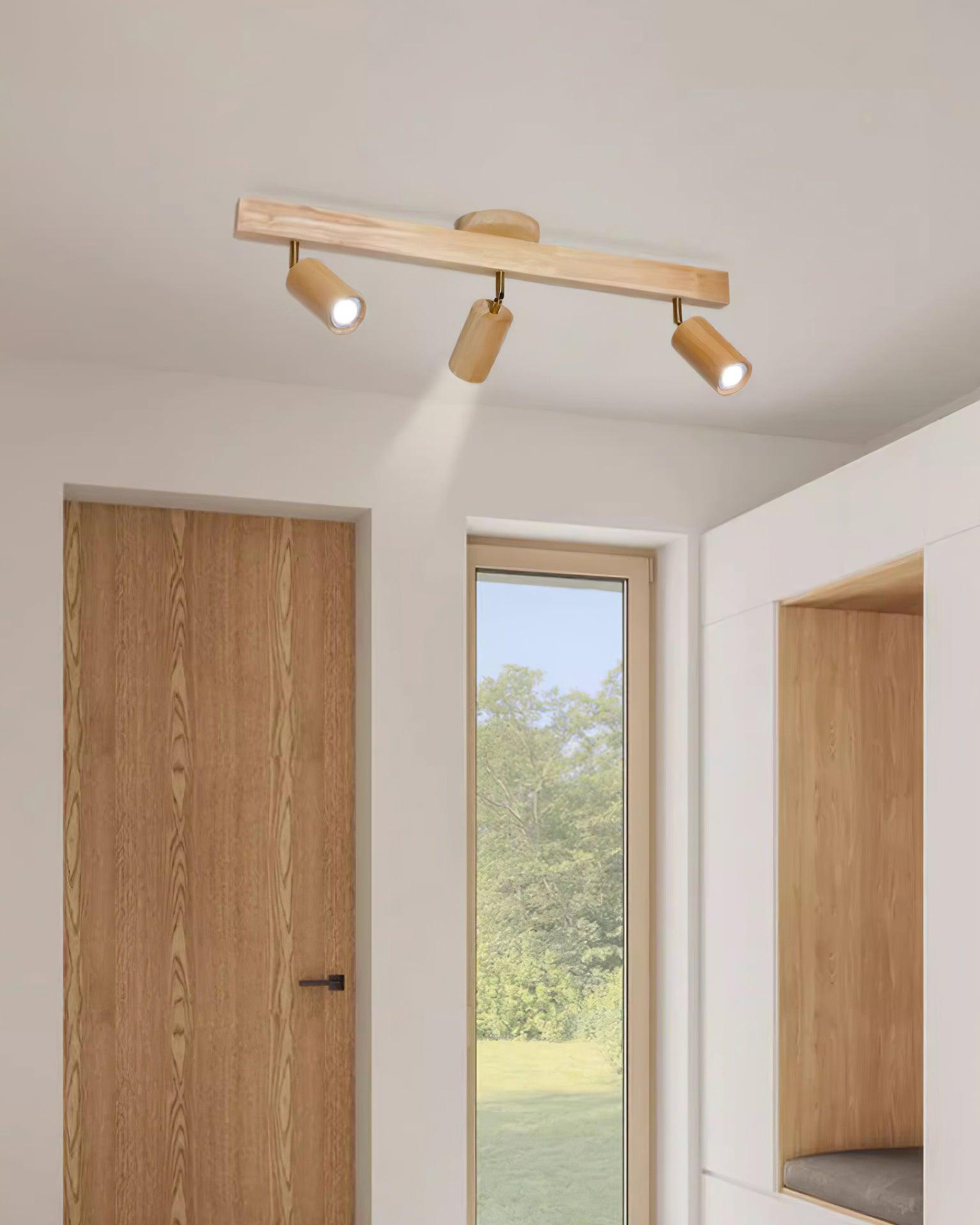 Cennoford Ceiling Light