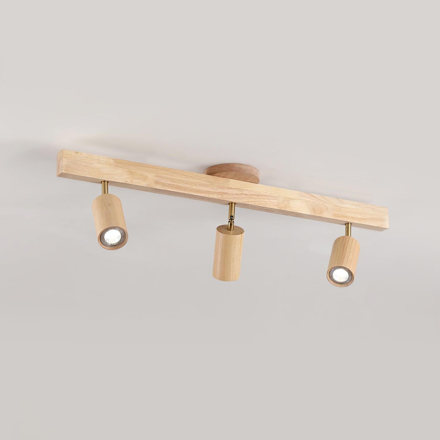 Cennoford Ceiling Light