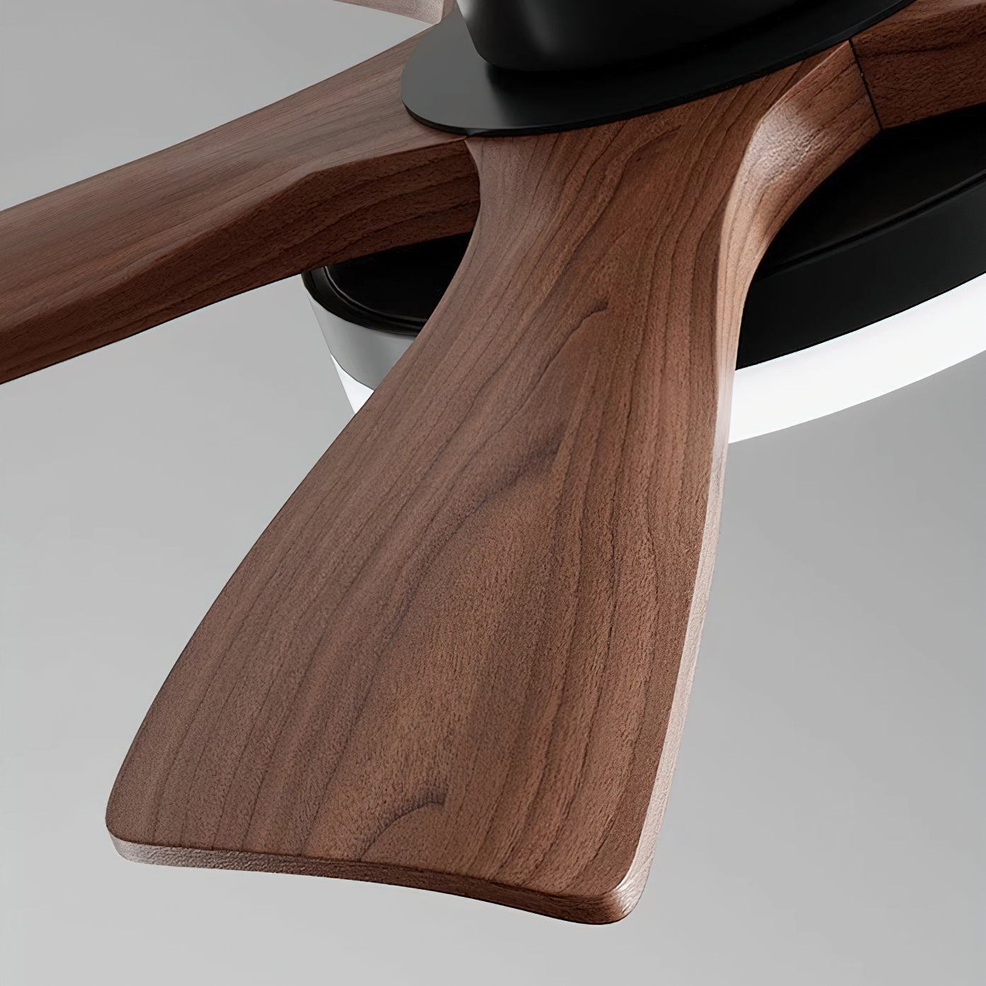Linri Modern Ceiling Light