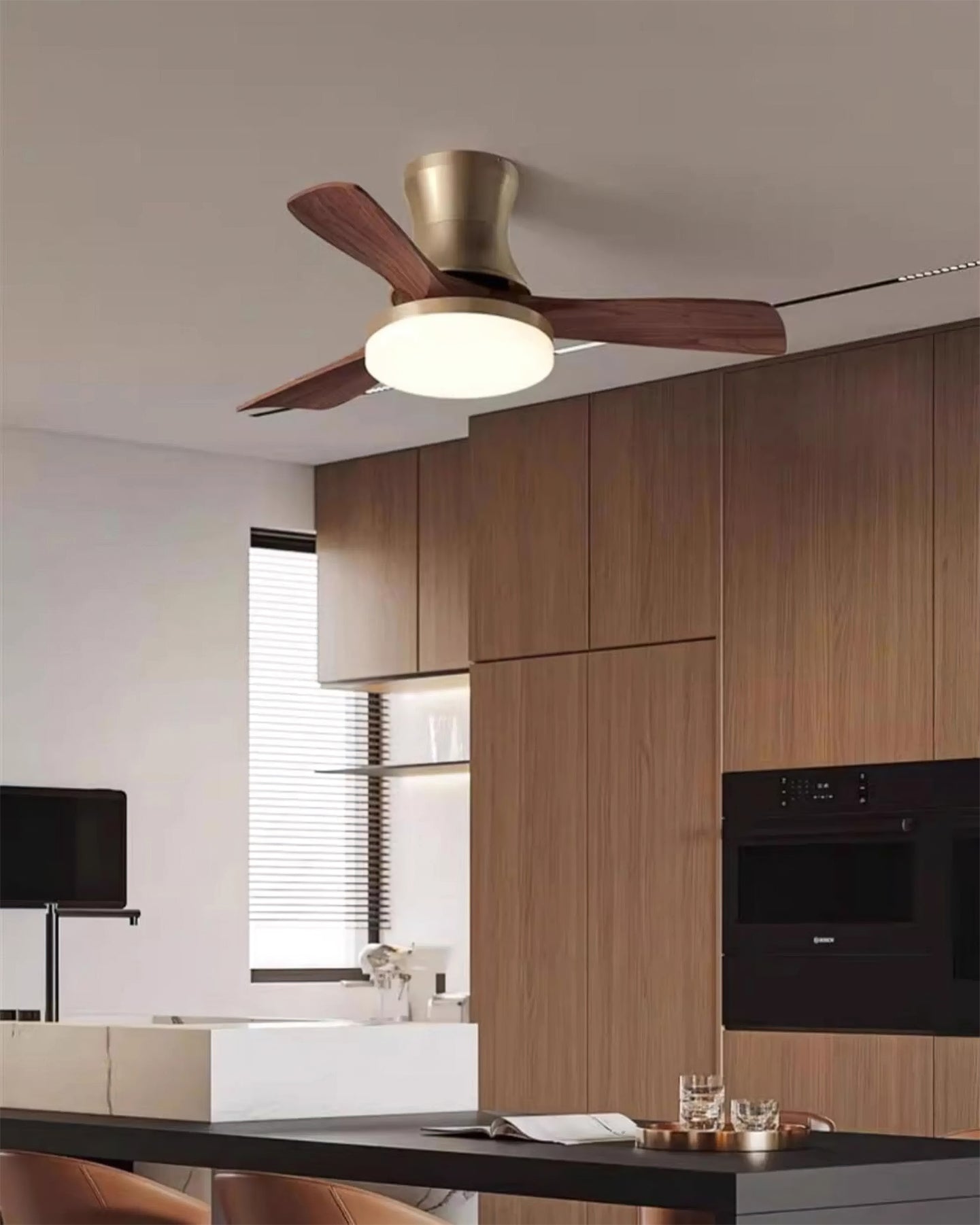 Linri Modern Ceiling Light