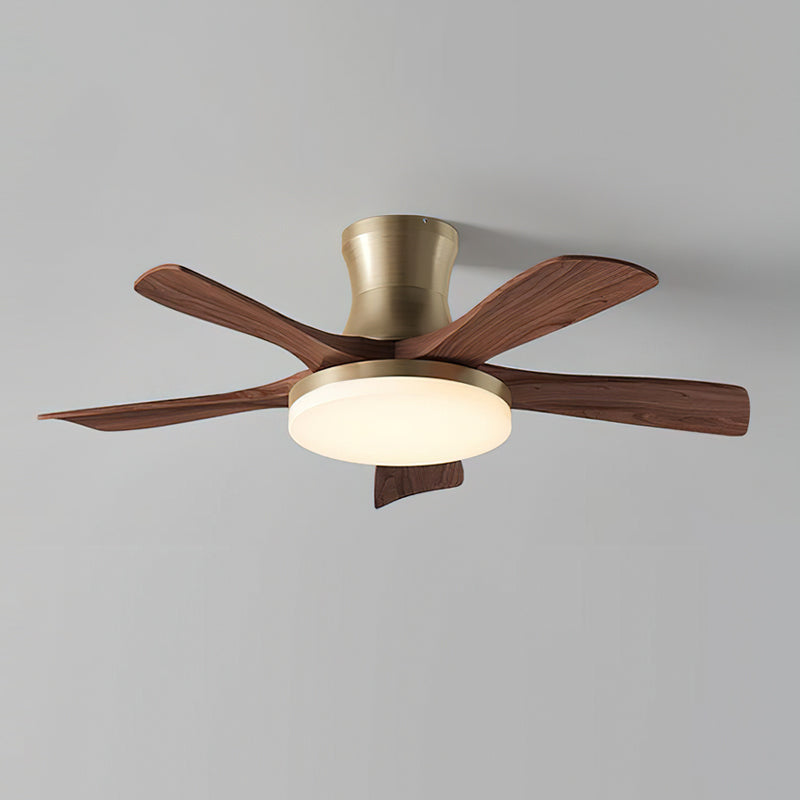 Linri Modern Ceiling Light