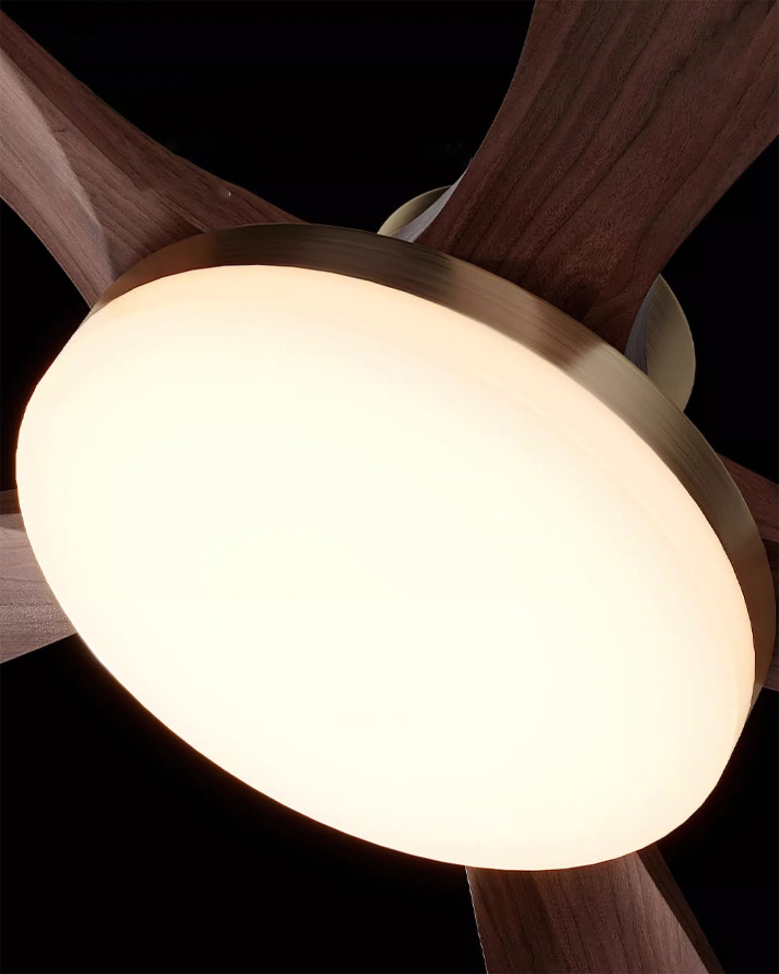 Linri Modern Ceiling Light