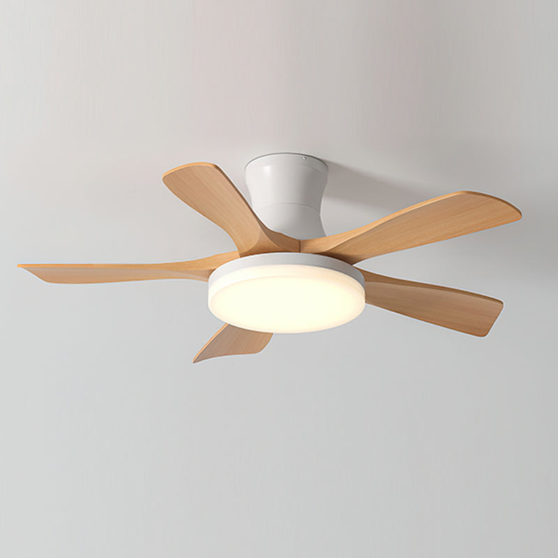 Linri Modern Ceiling Light