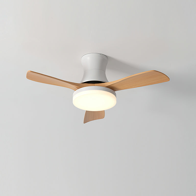 Linri Modern Ceiling Light
