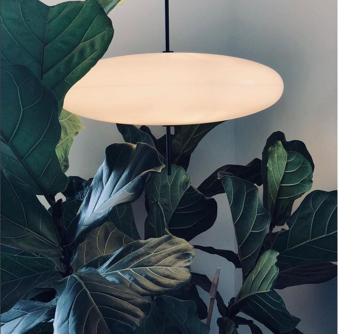 Velllina Disc Pendant Light