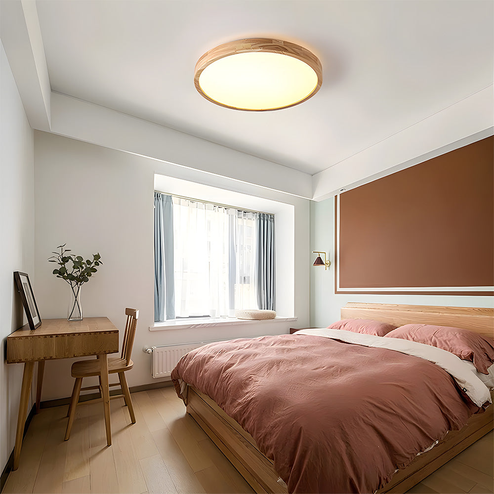 Erlivon Ceiling Light
