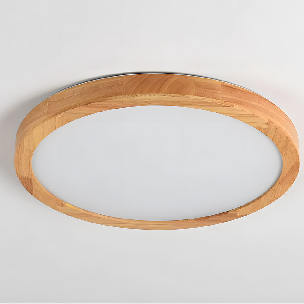 Erlivon Ceiling Light