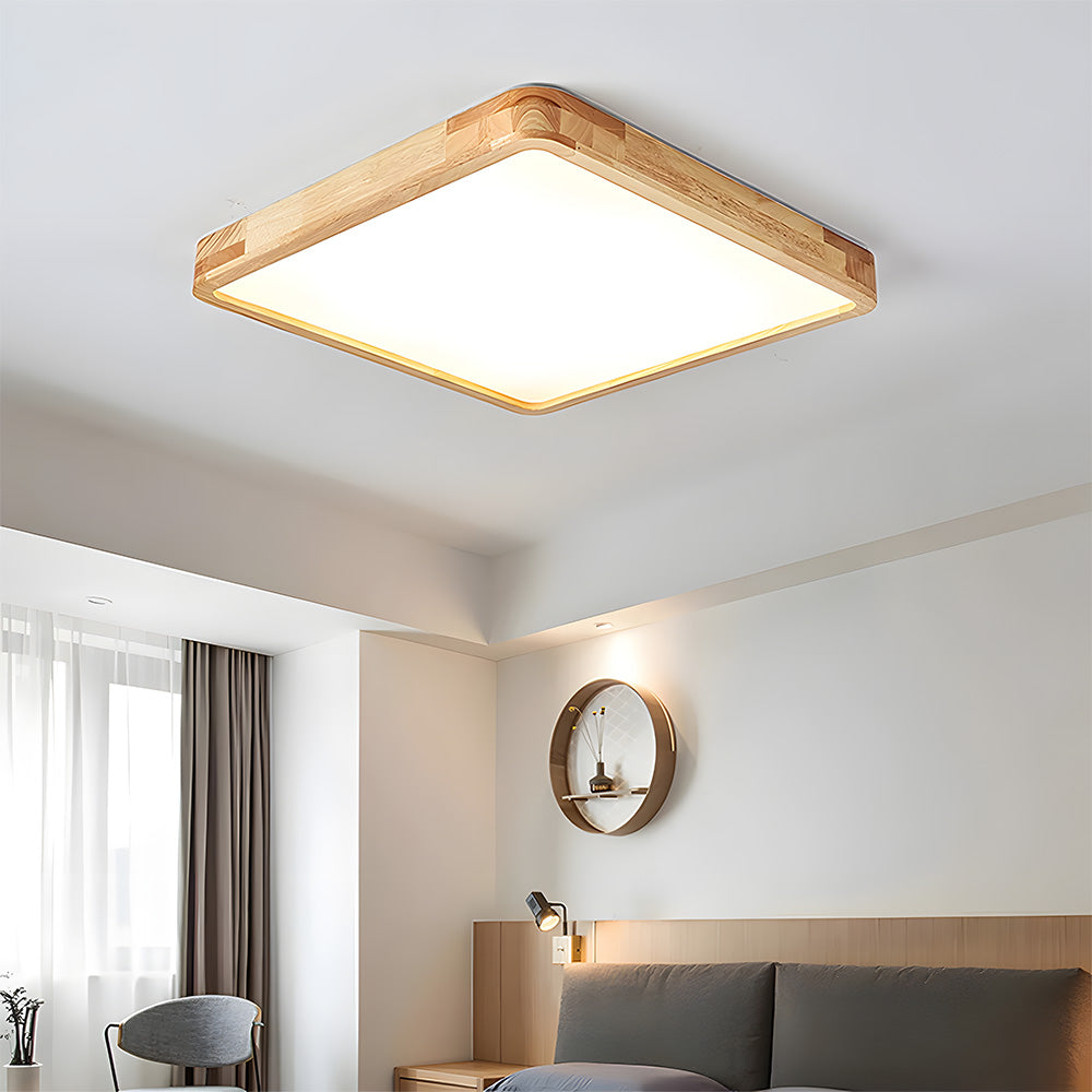 Erlivon Ceiling Light