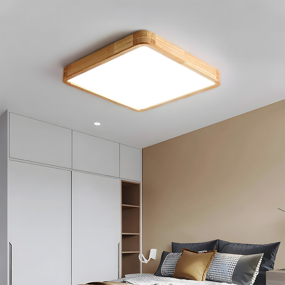 Erlivon Ceiling Light