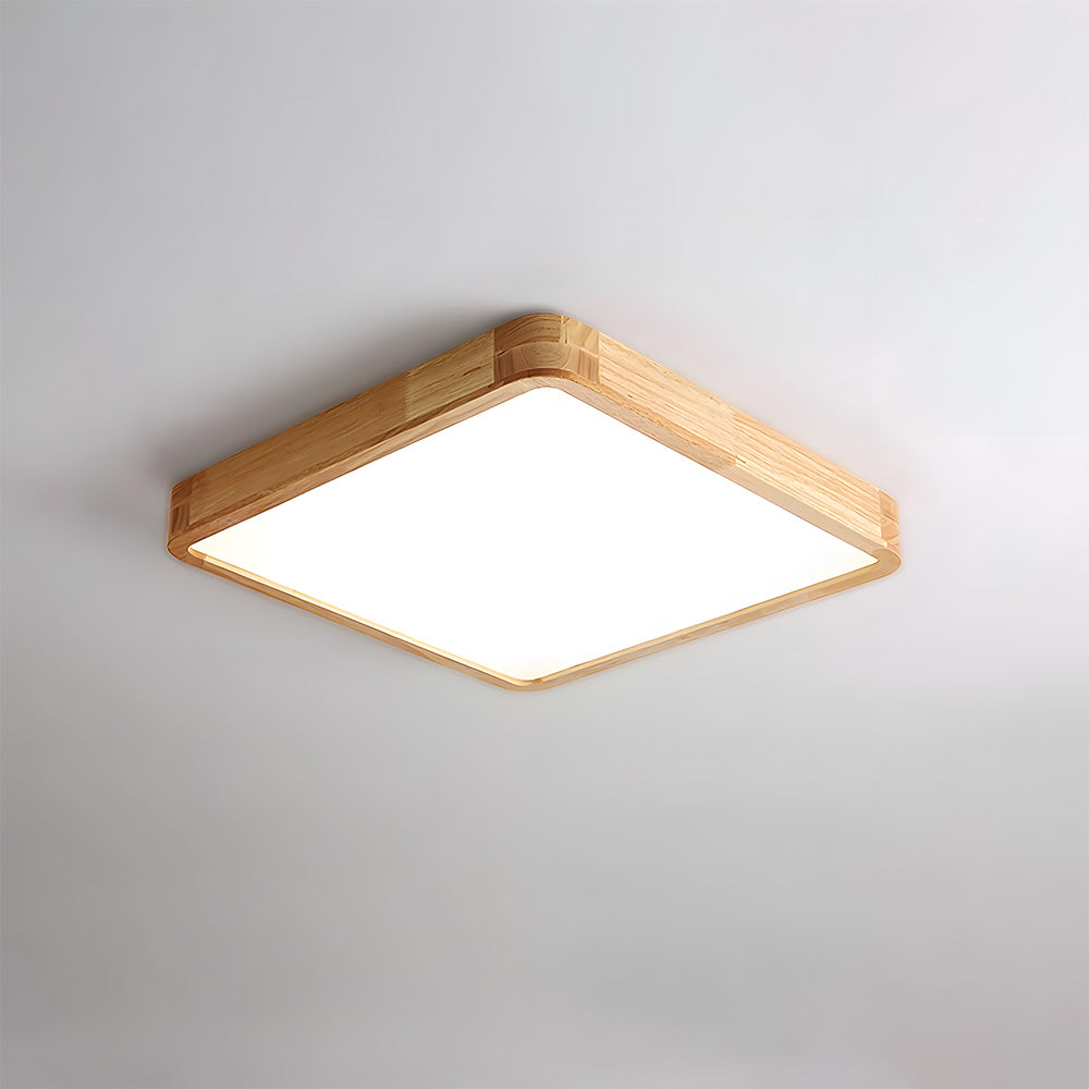 Erlivon Ceiling Light