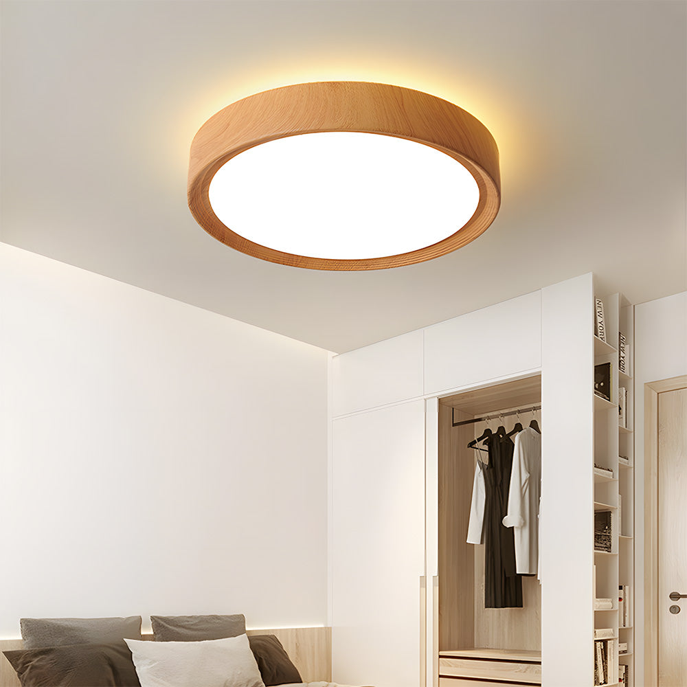 Tozon Round Ceiling Light