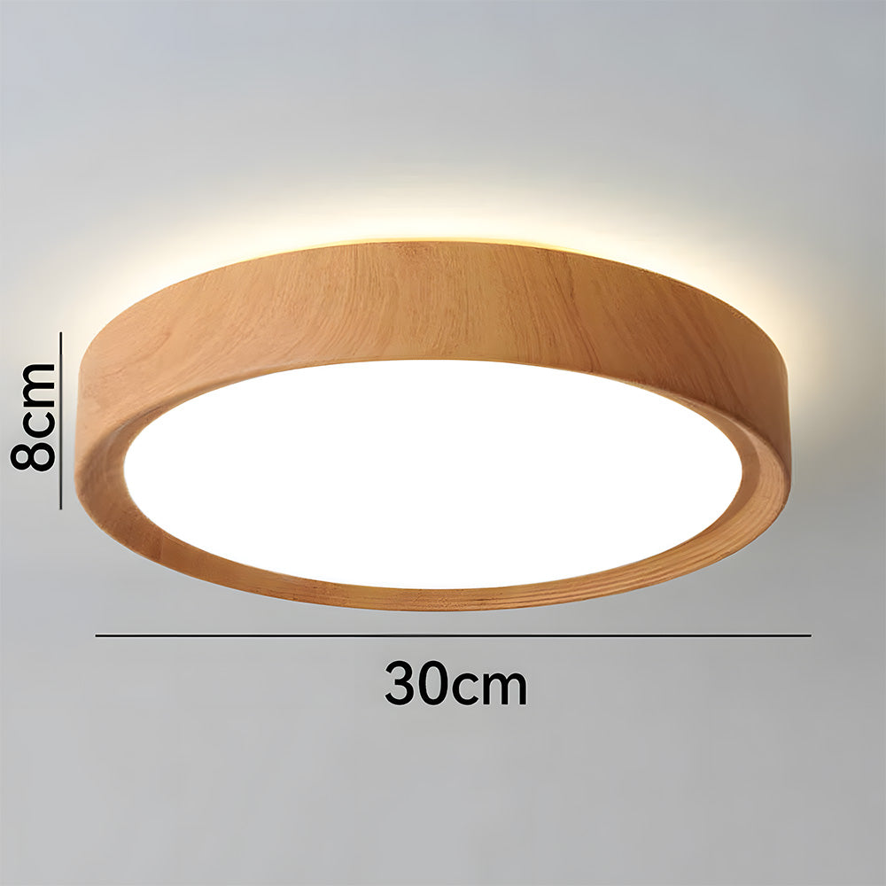 Tozon Round Ceiling Light