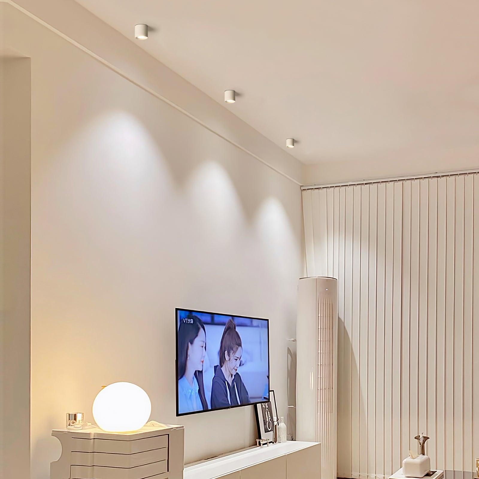 Lenu Cylinder Ceiling Light
