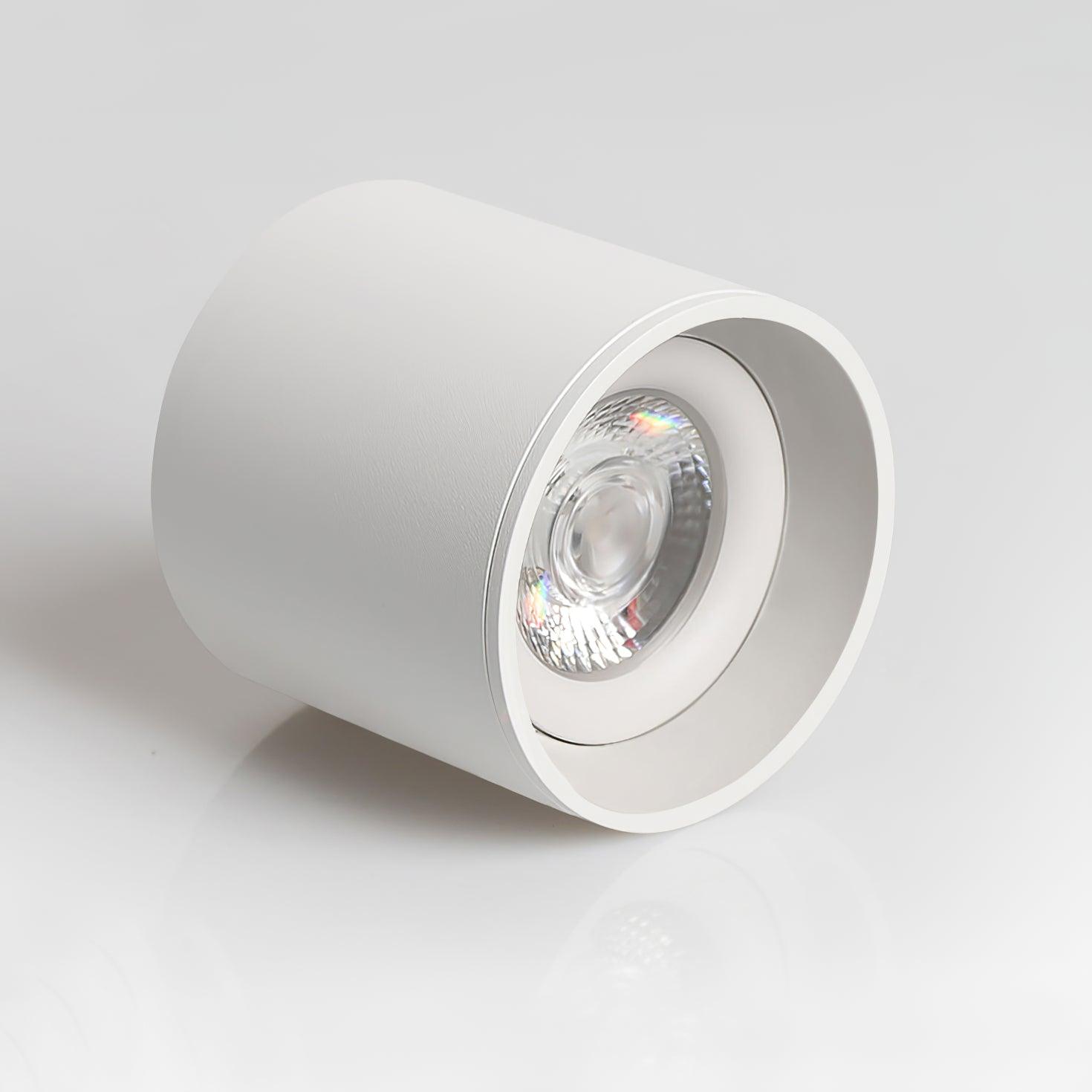 Lenu Cylinder Ceiling Light