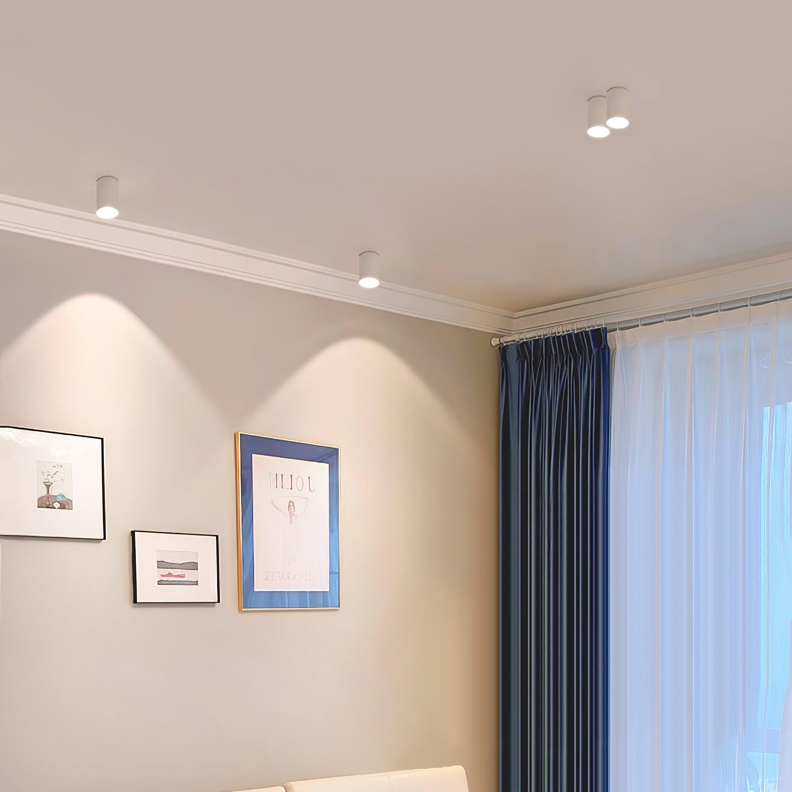 Lenu Cylinder Ceiling Light