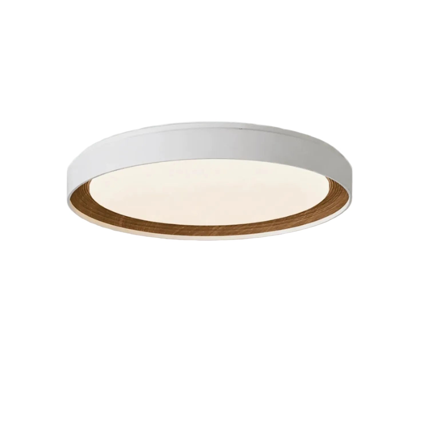 Arto Disc Ceiling Light
