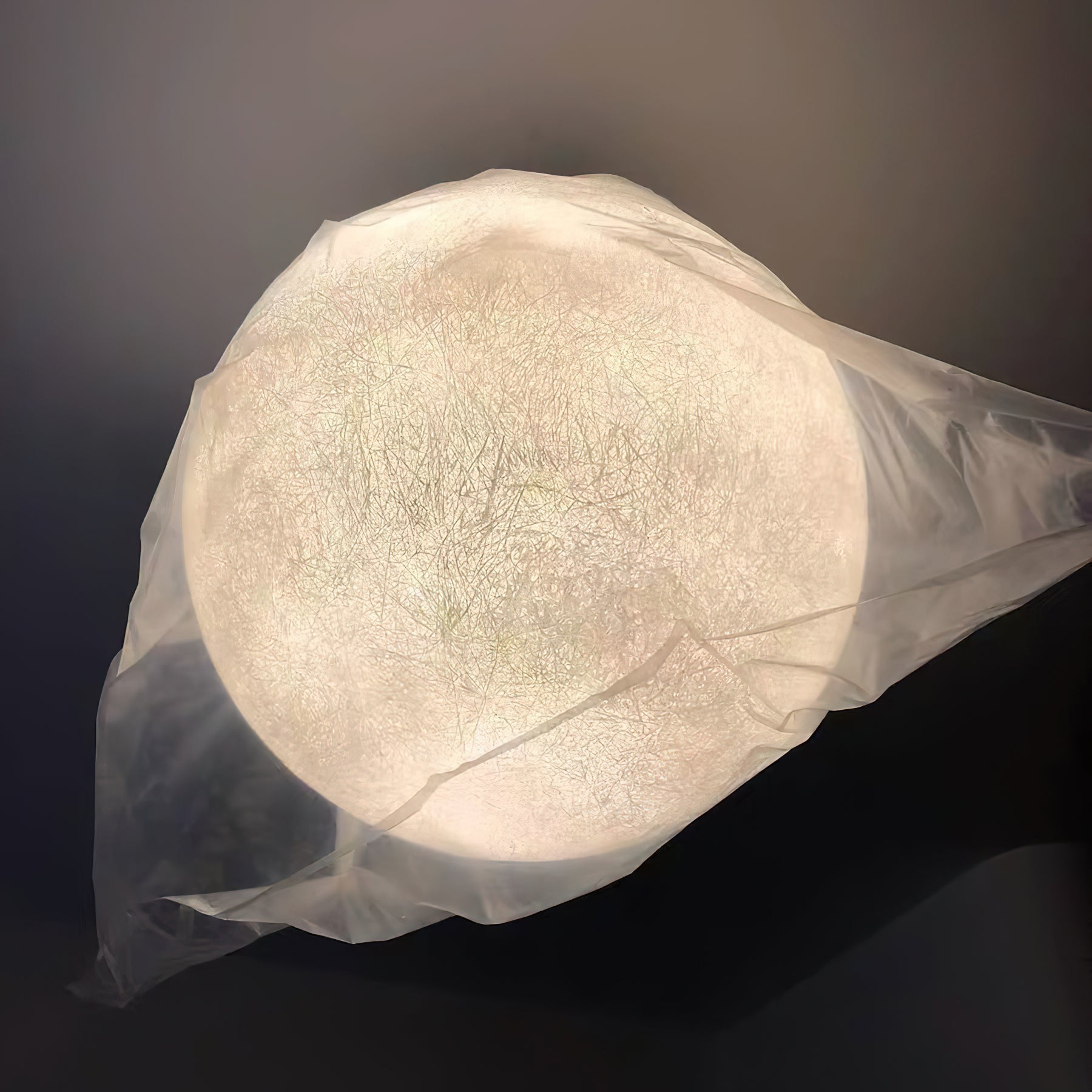 Caldin Globe Pendant Light