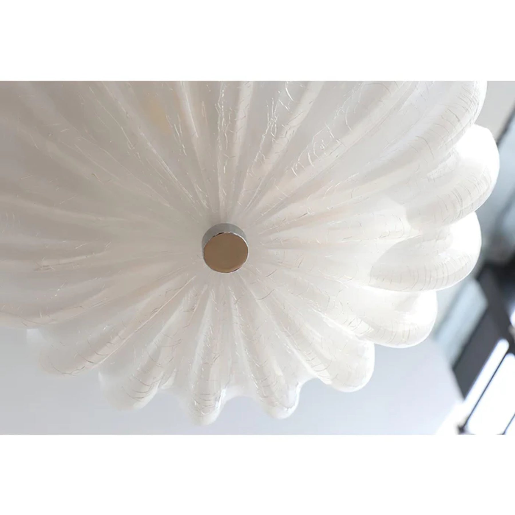 Prollar Ceiling Light