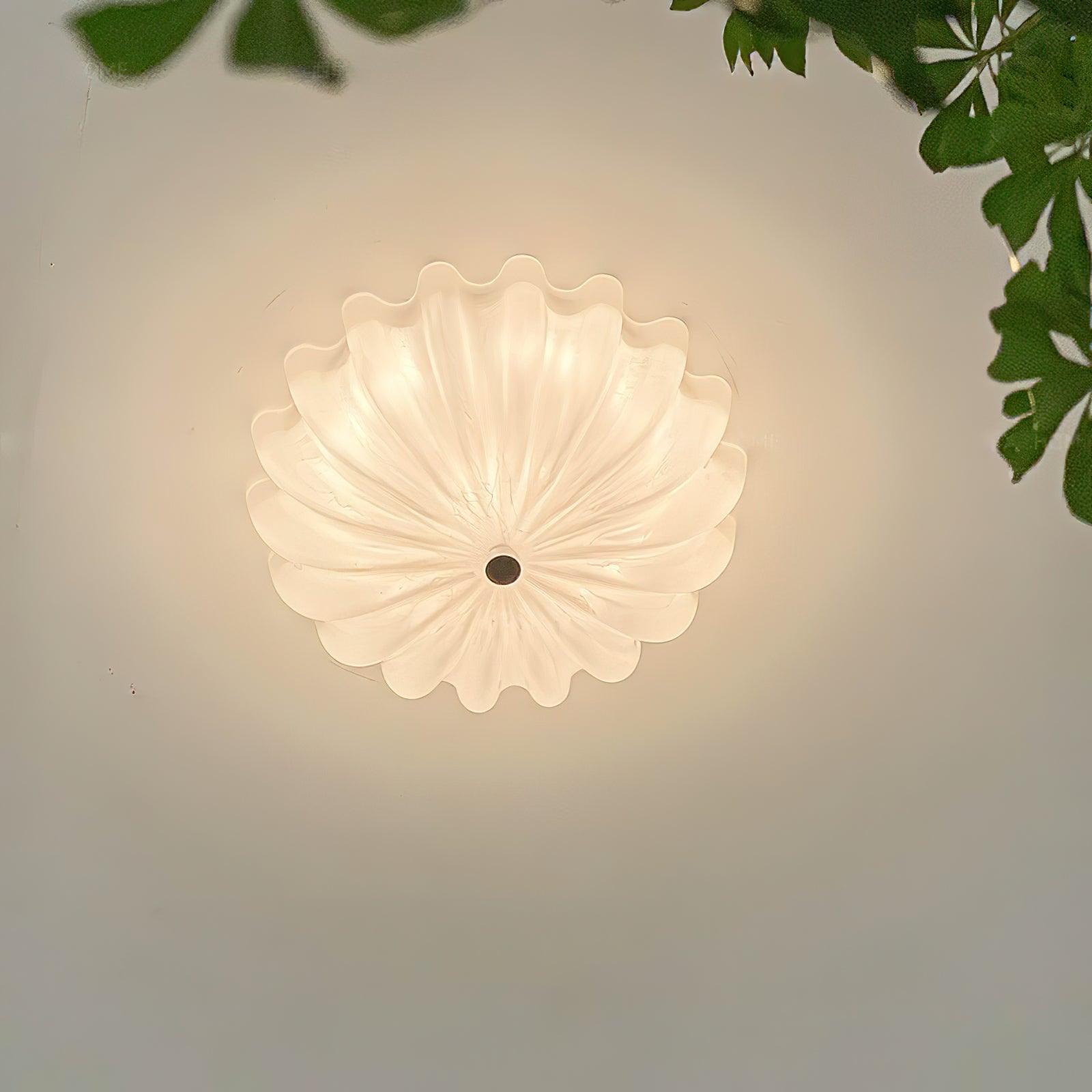 Prollar Ceiling Light