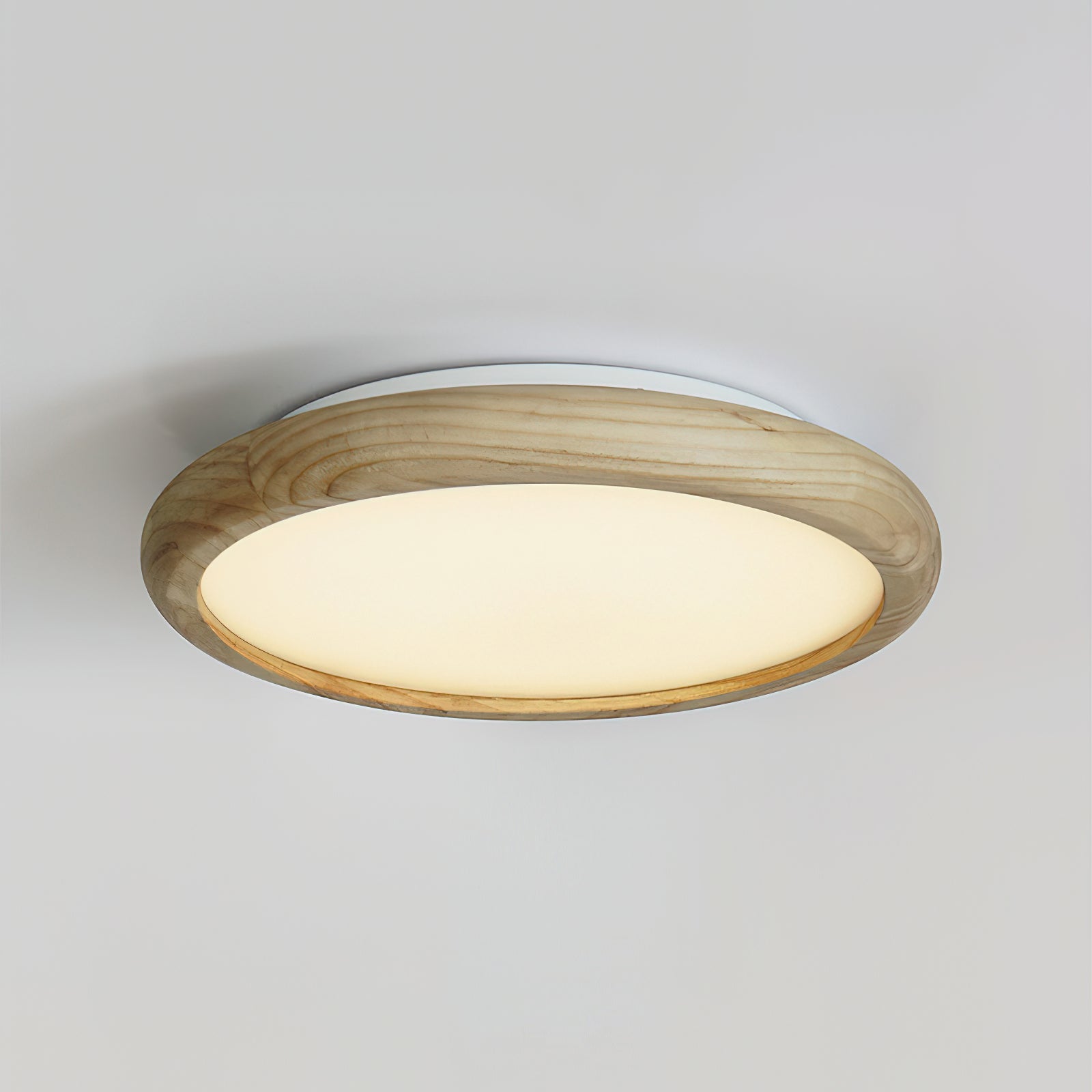Neltusa Japandi Style Ceiling Light