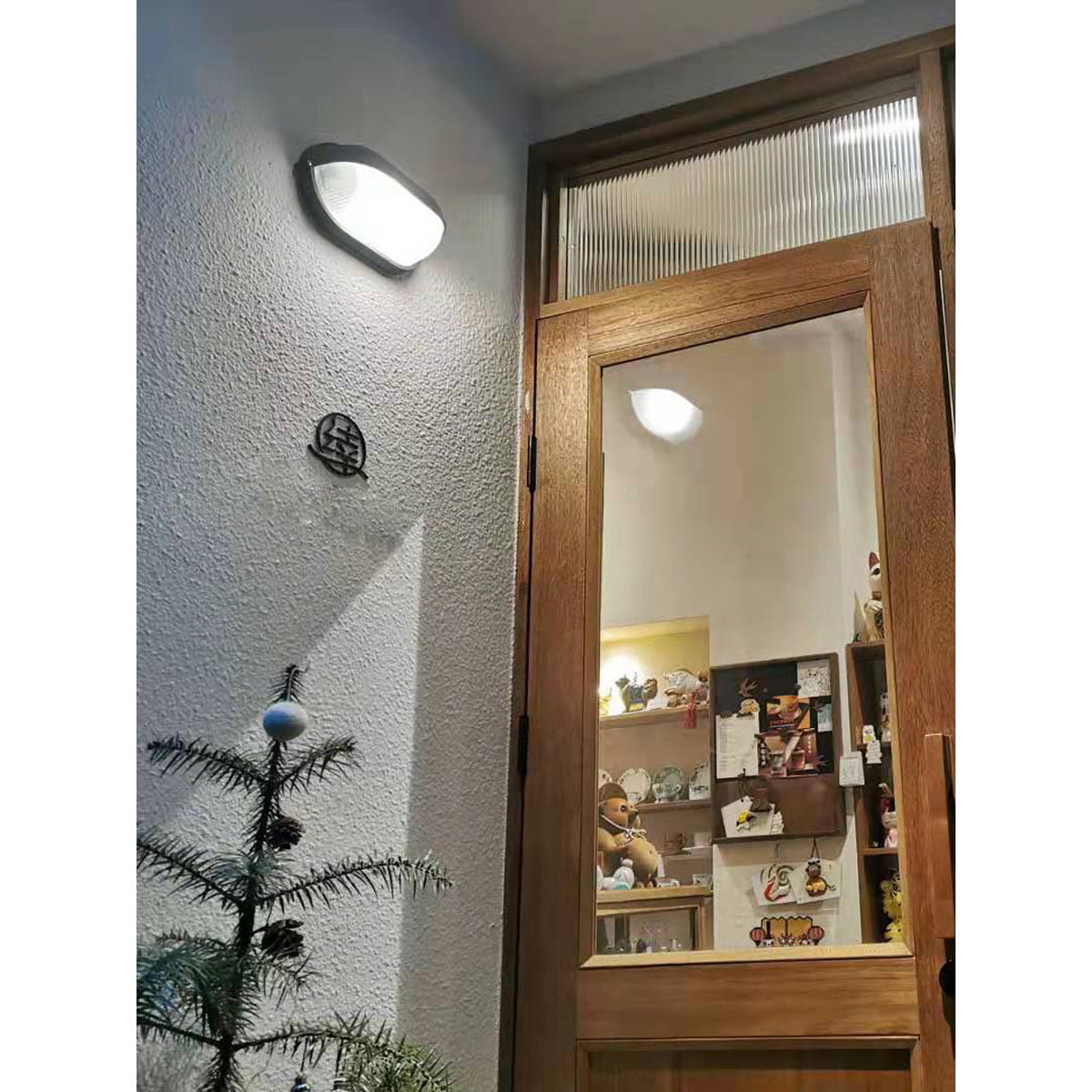 Dunon Outdoor Wall Light