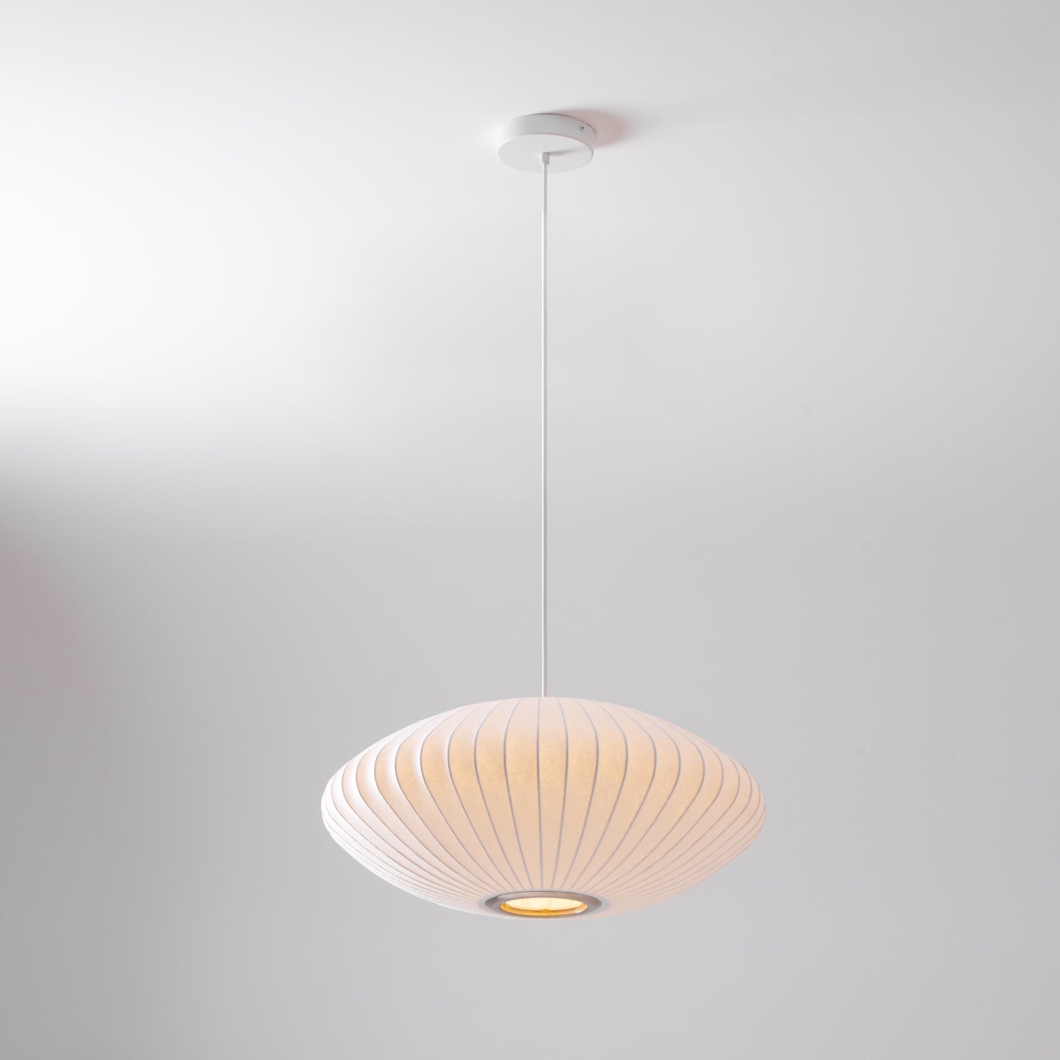 Delin Bubble Pendant Light