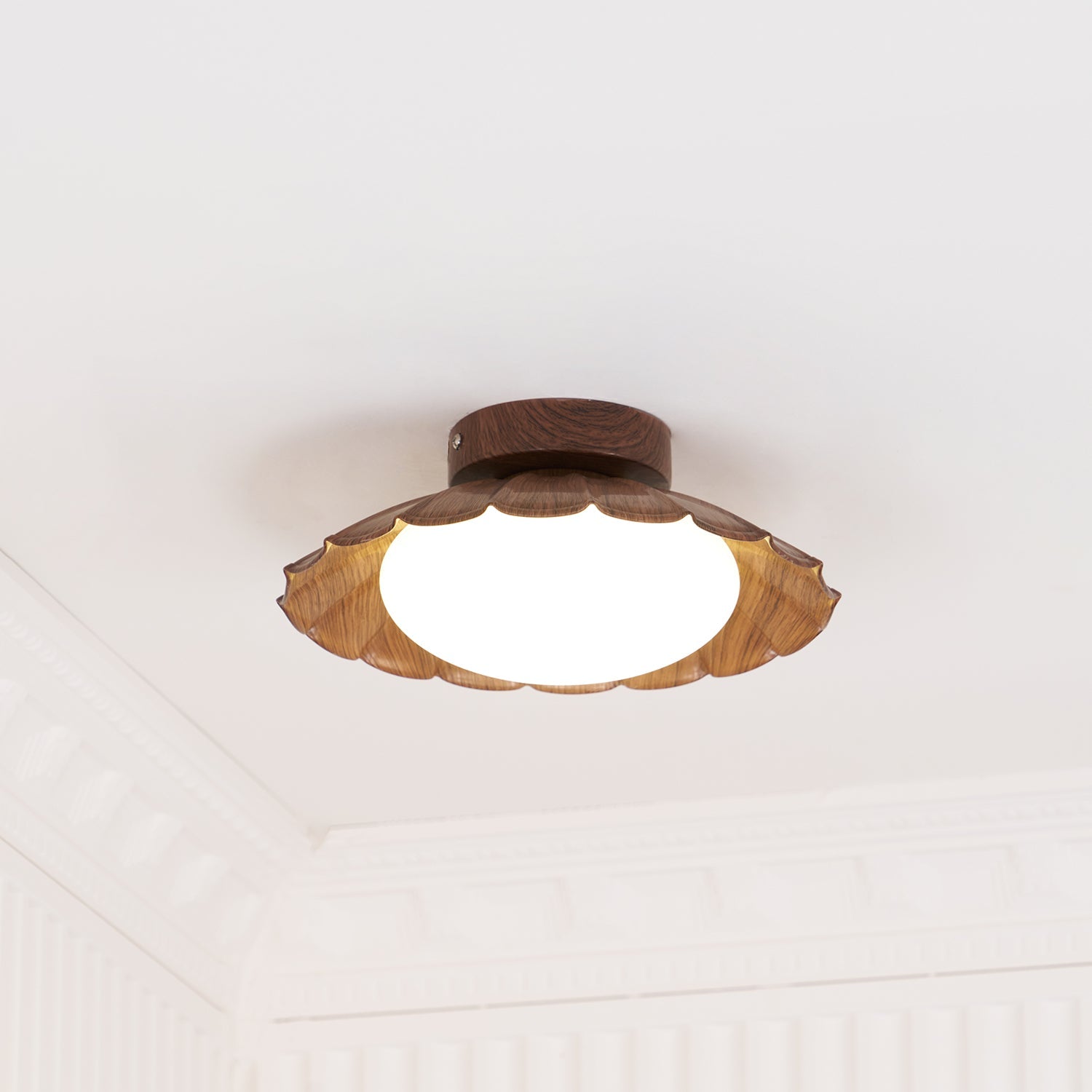 Veran Ceiling Light