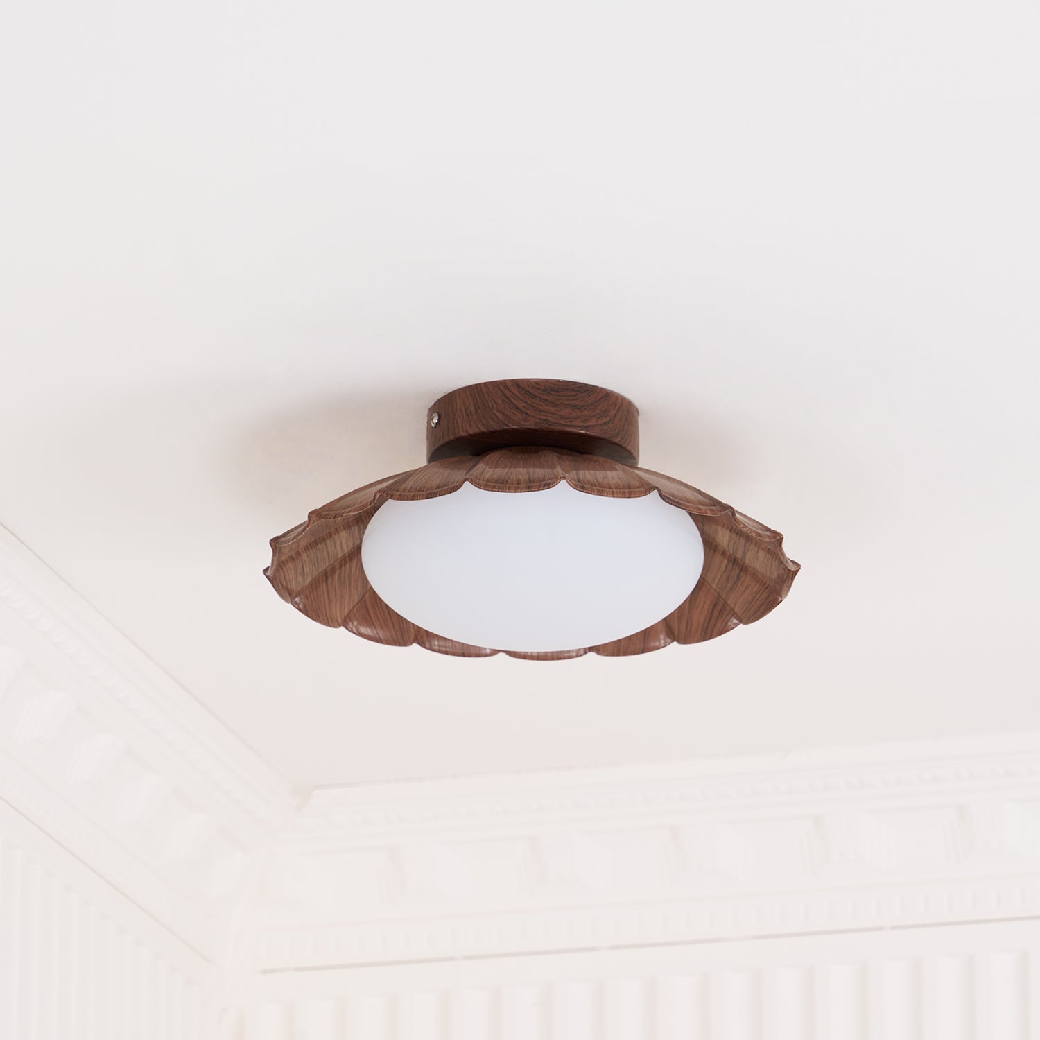 Veran Ceiling Light