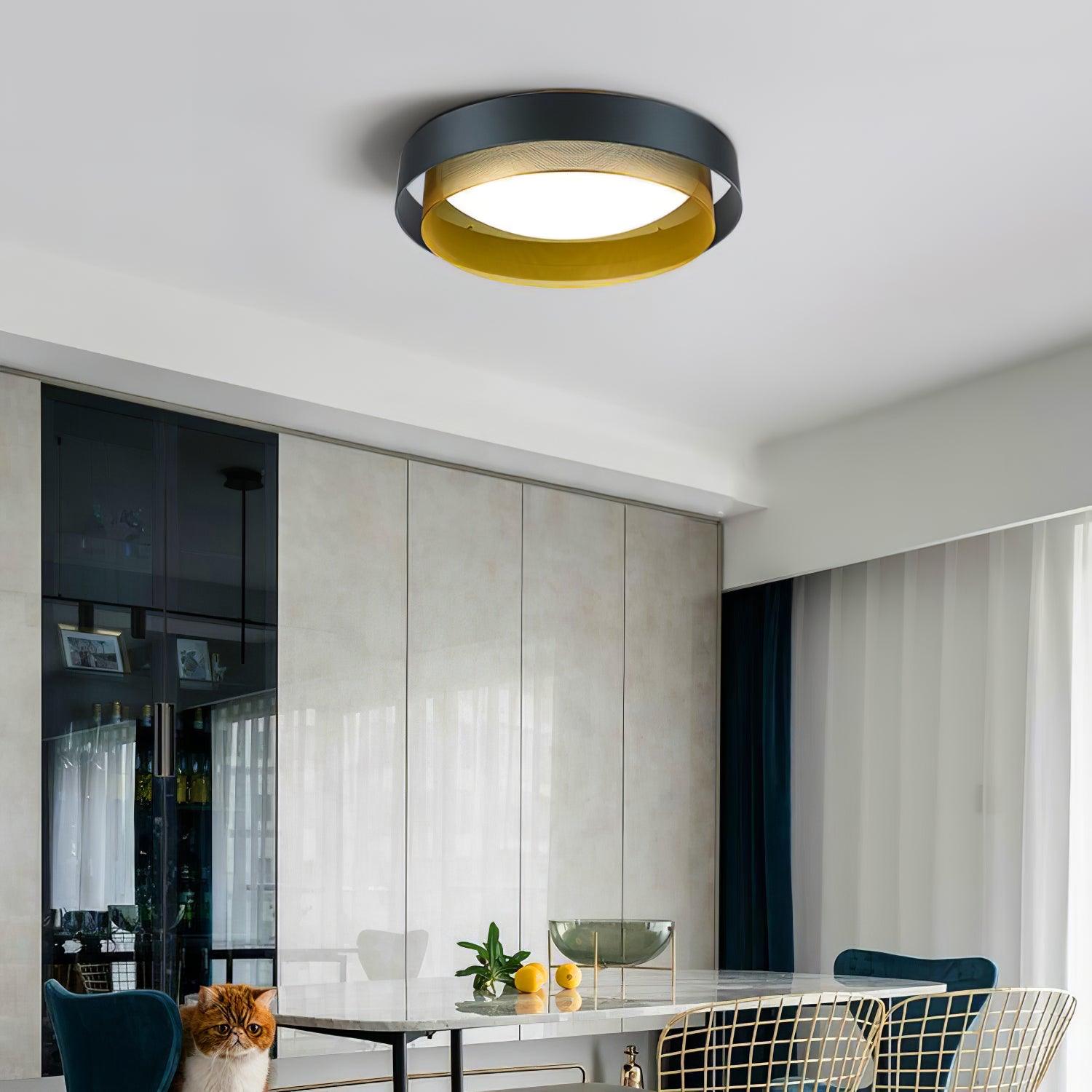 Slyzon Ceiling Light