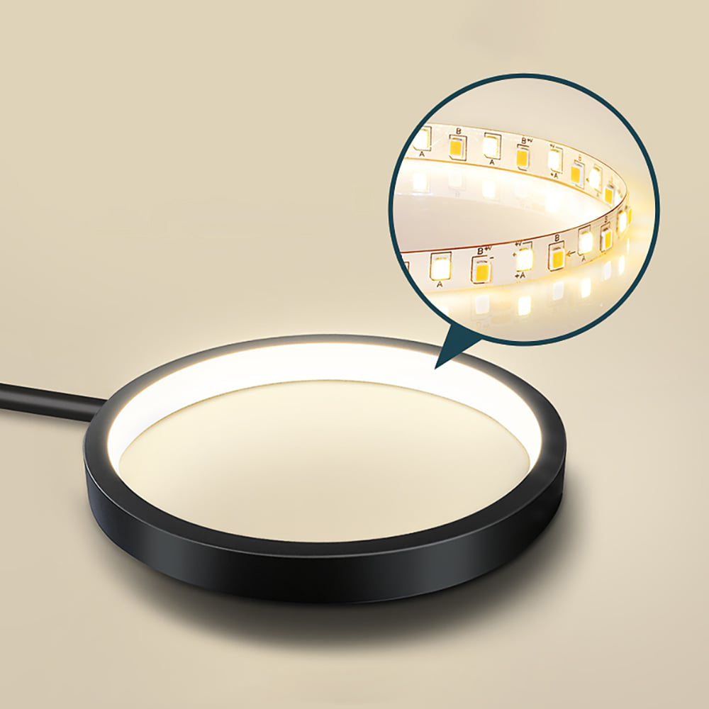Selyz Ring Design Ceiling Light