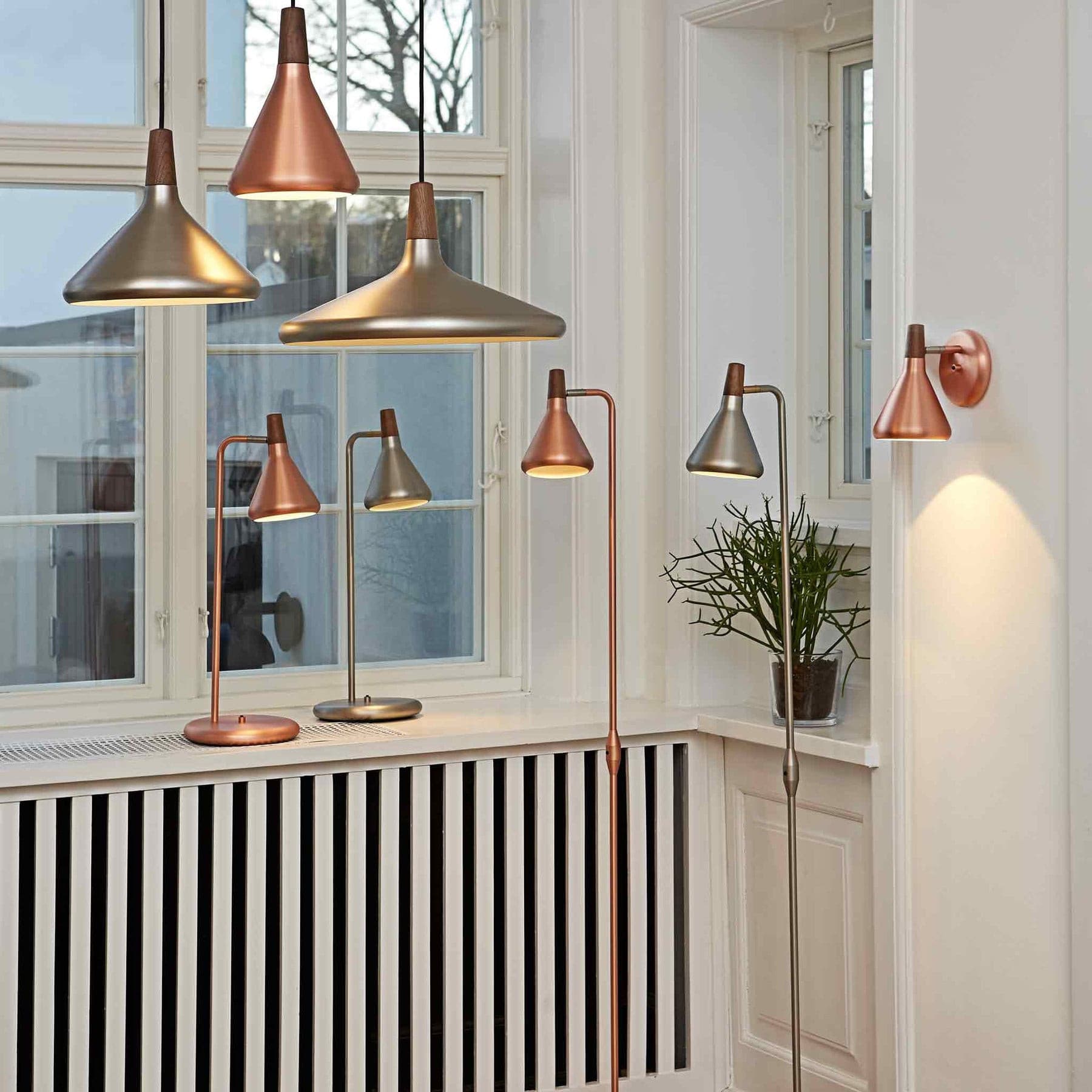 Paxden Cone Pendant Light