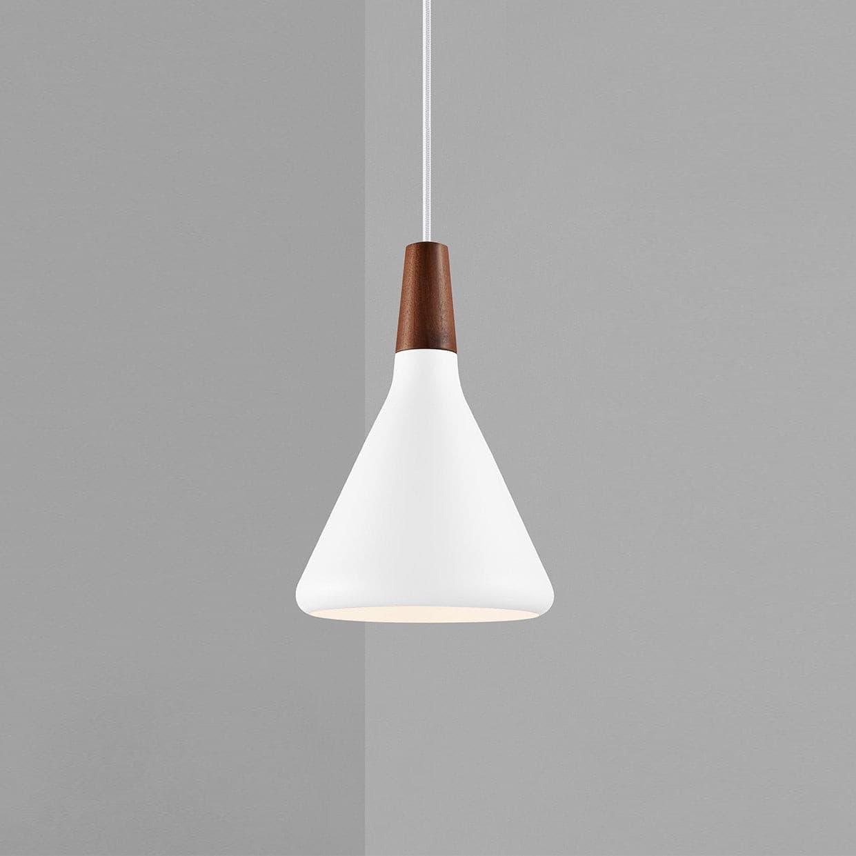 Paxden Cone Pendant Light