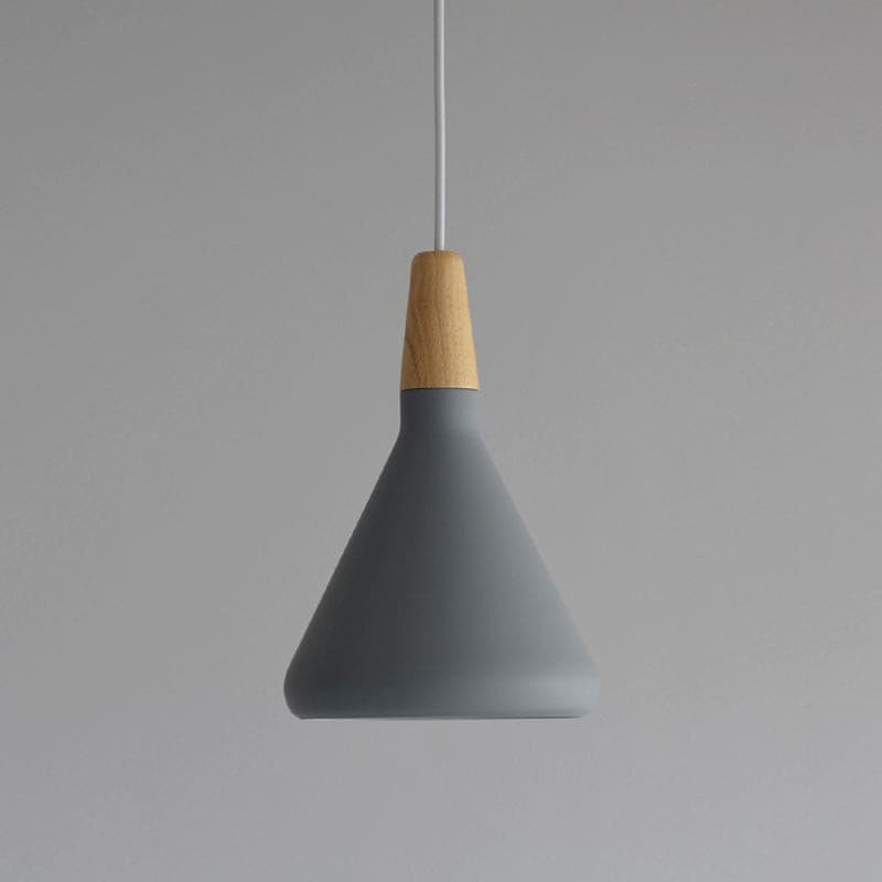 Paxden Cone Pendant Light