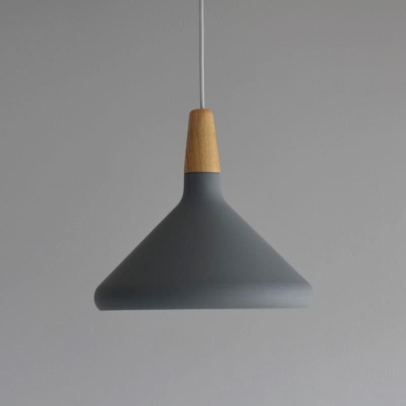 Paxden Cone Pendant Light
