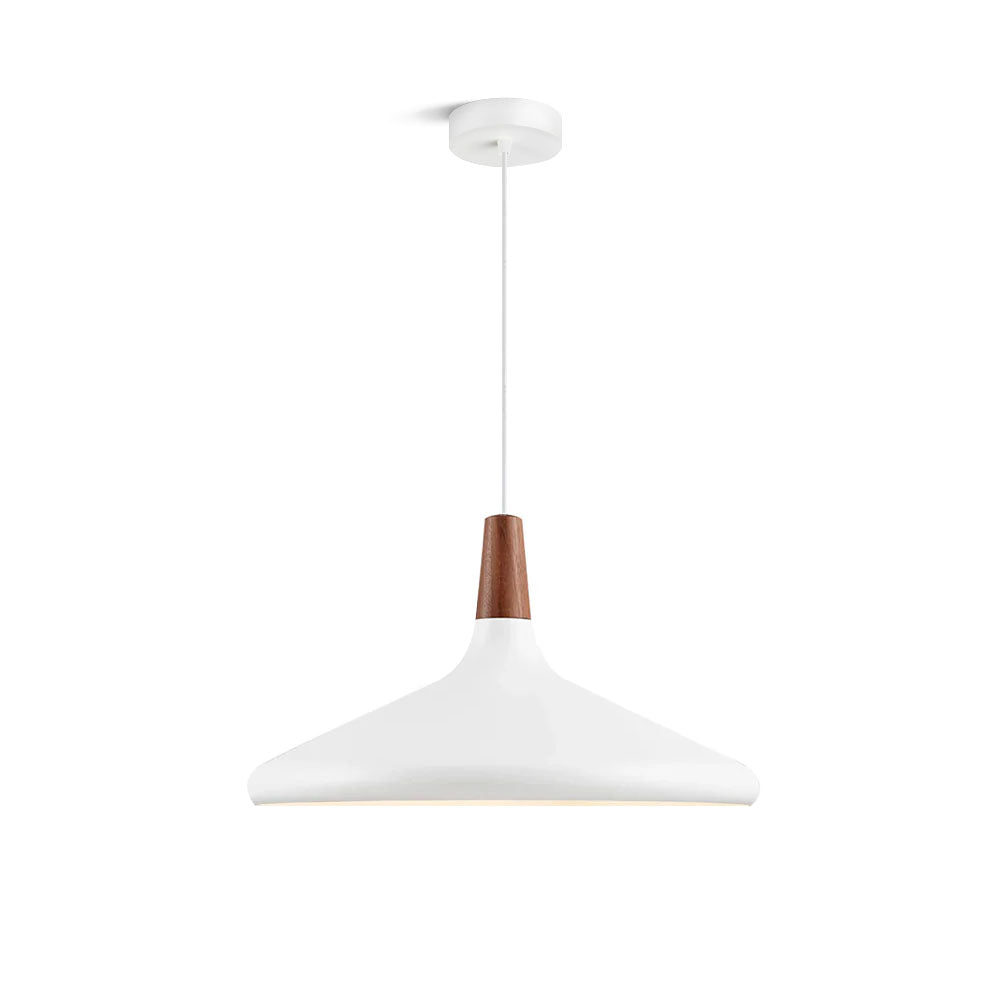 Paxden Cone Pendant Light