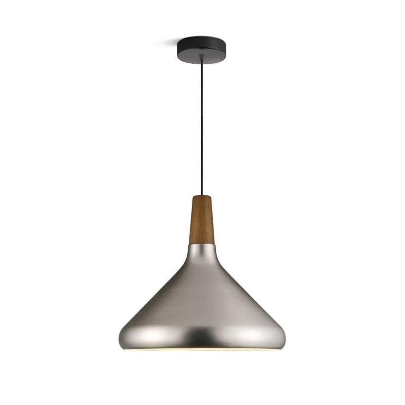 Paxden Cone Pendant Light