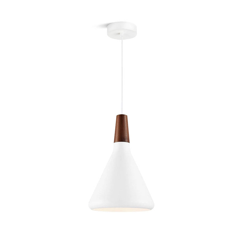 Paxden Cone Pendant Light