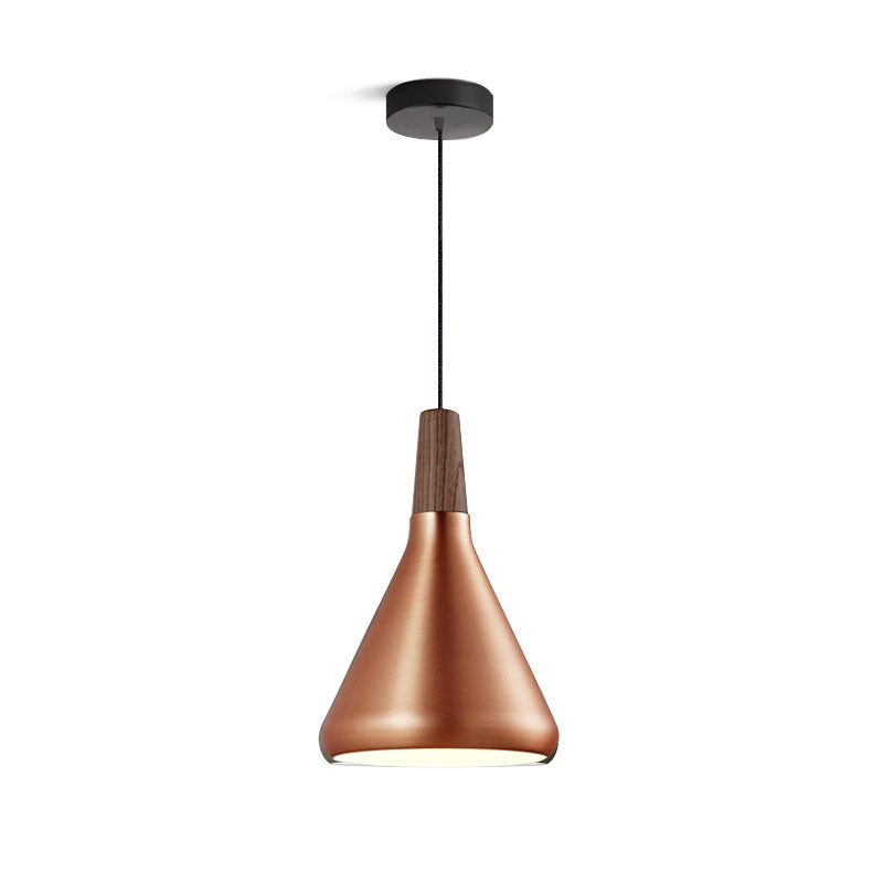 Paxden Cone Pendant Light