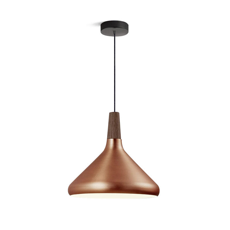 Paxden Cone Pendant Light