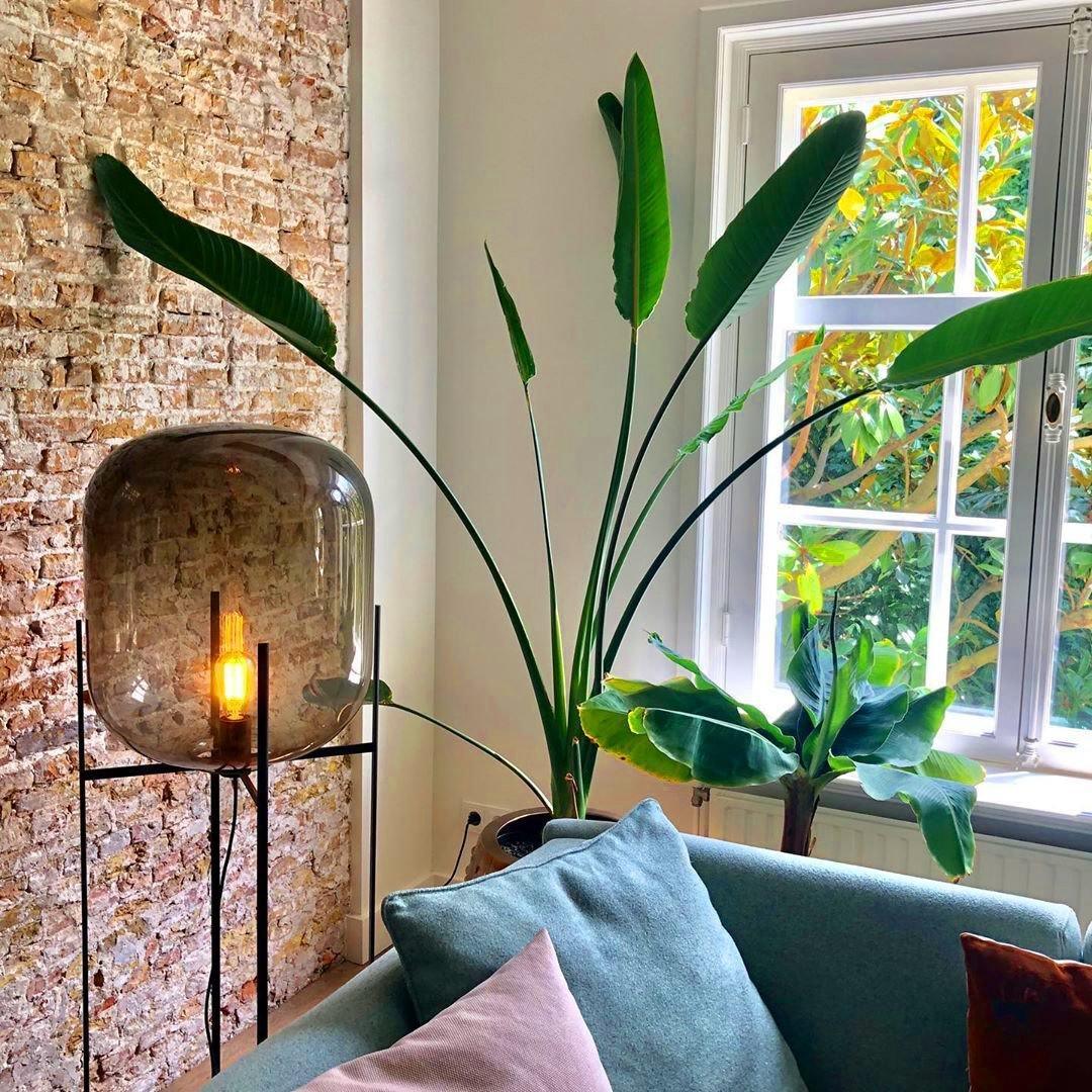 Trevalo Floor Lamp