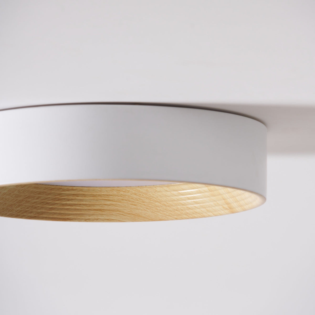 Paxburn Round Ceiling Light