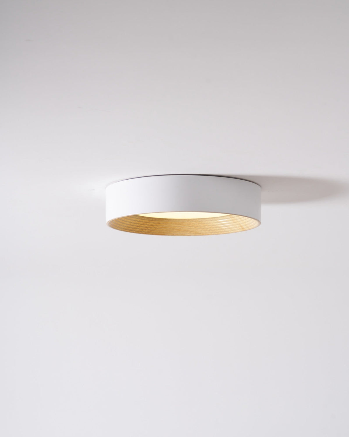 Paxburn Round Ceiling Light