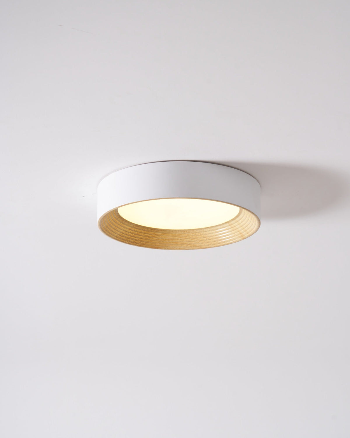 Paxburn Round Ceiling Light