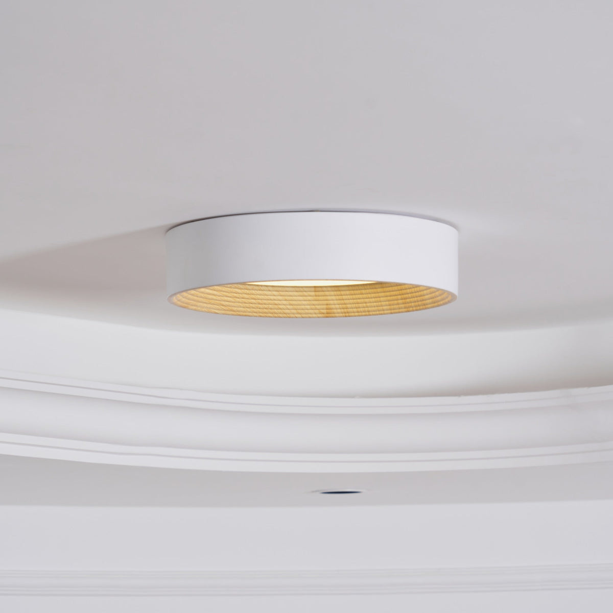 Paxburn Round Ceiling Light