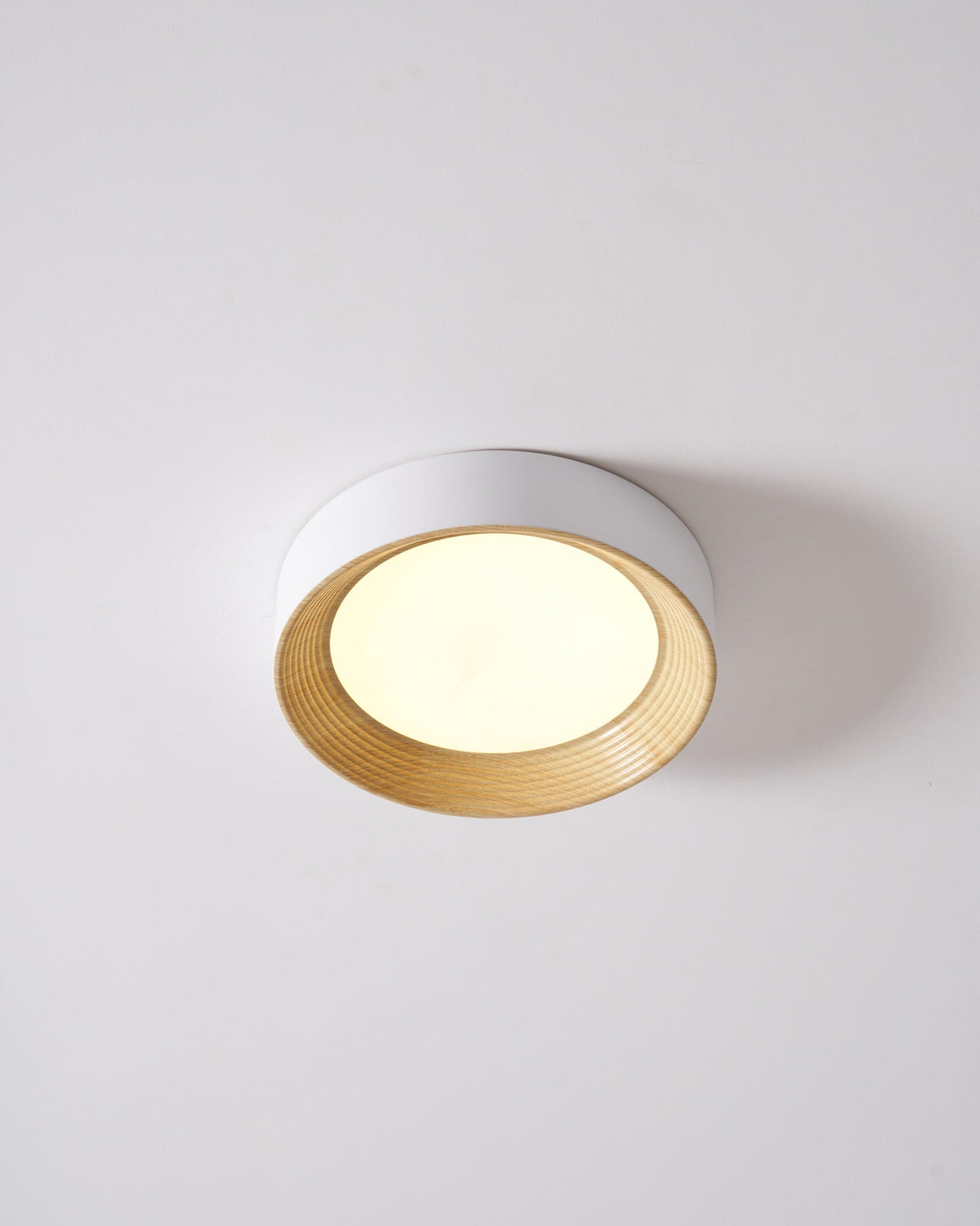 Paxburn Round Ceiling Light