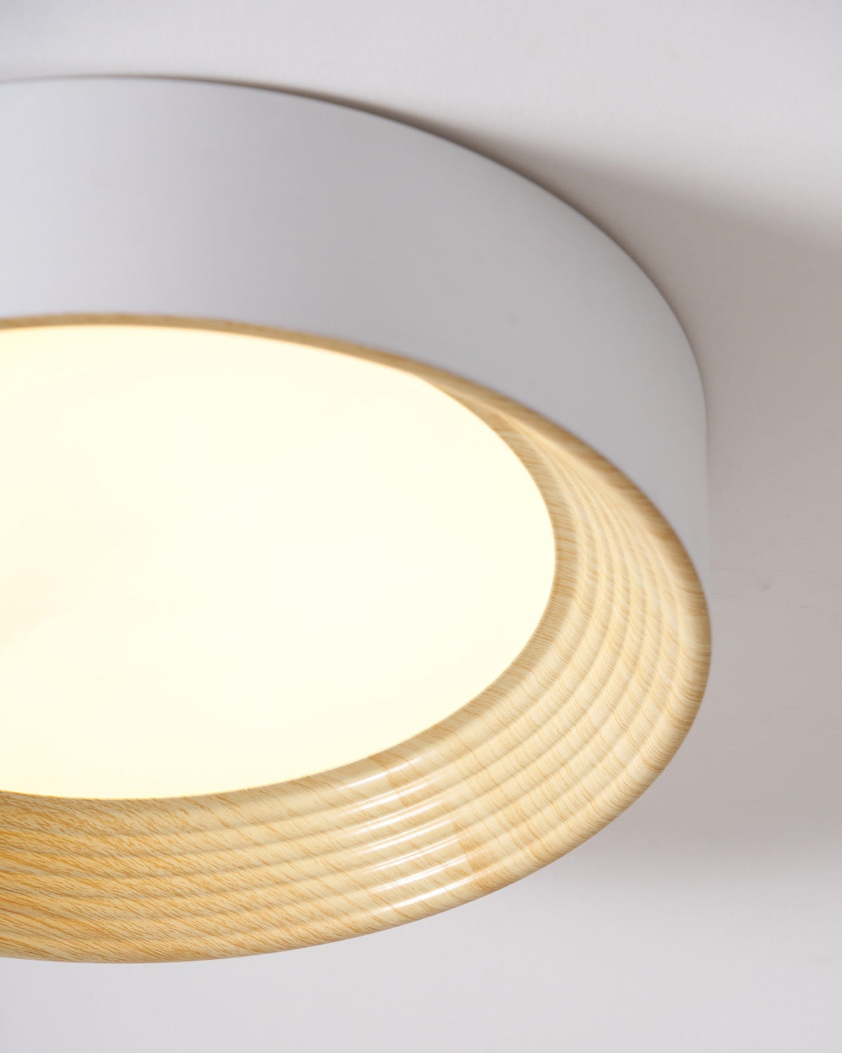 Paxburn Round Ceiling Light