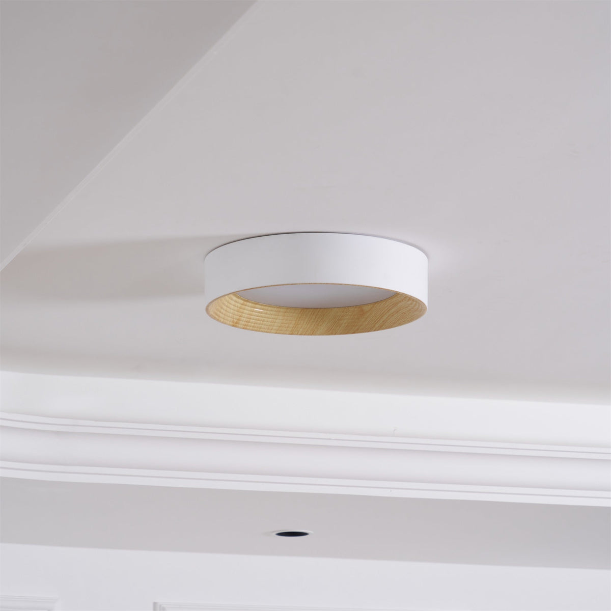 Paxburn Round Ceiling Light
