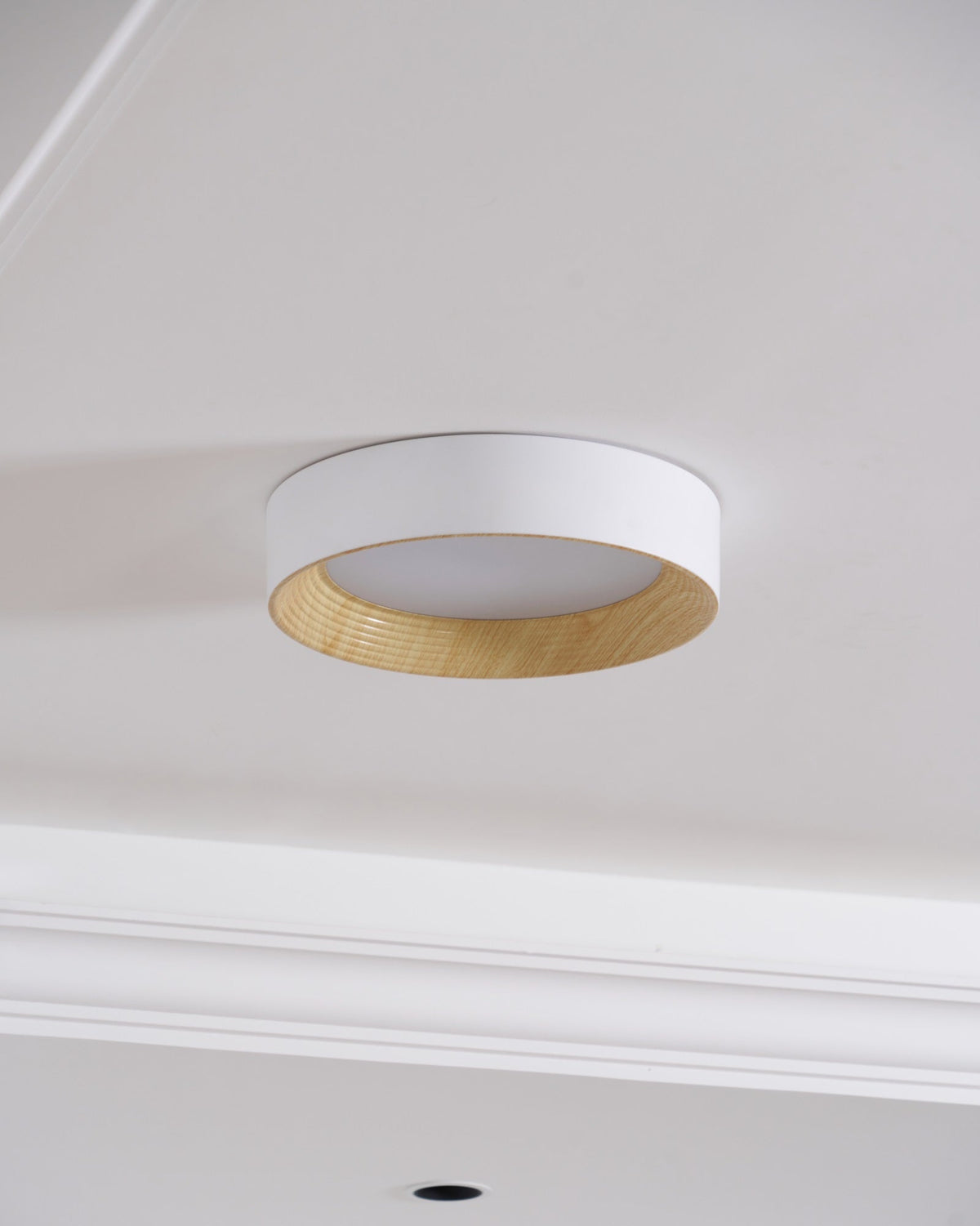 Paxburn Round Ceiling Light
