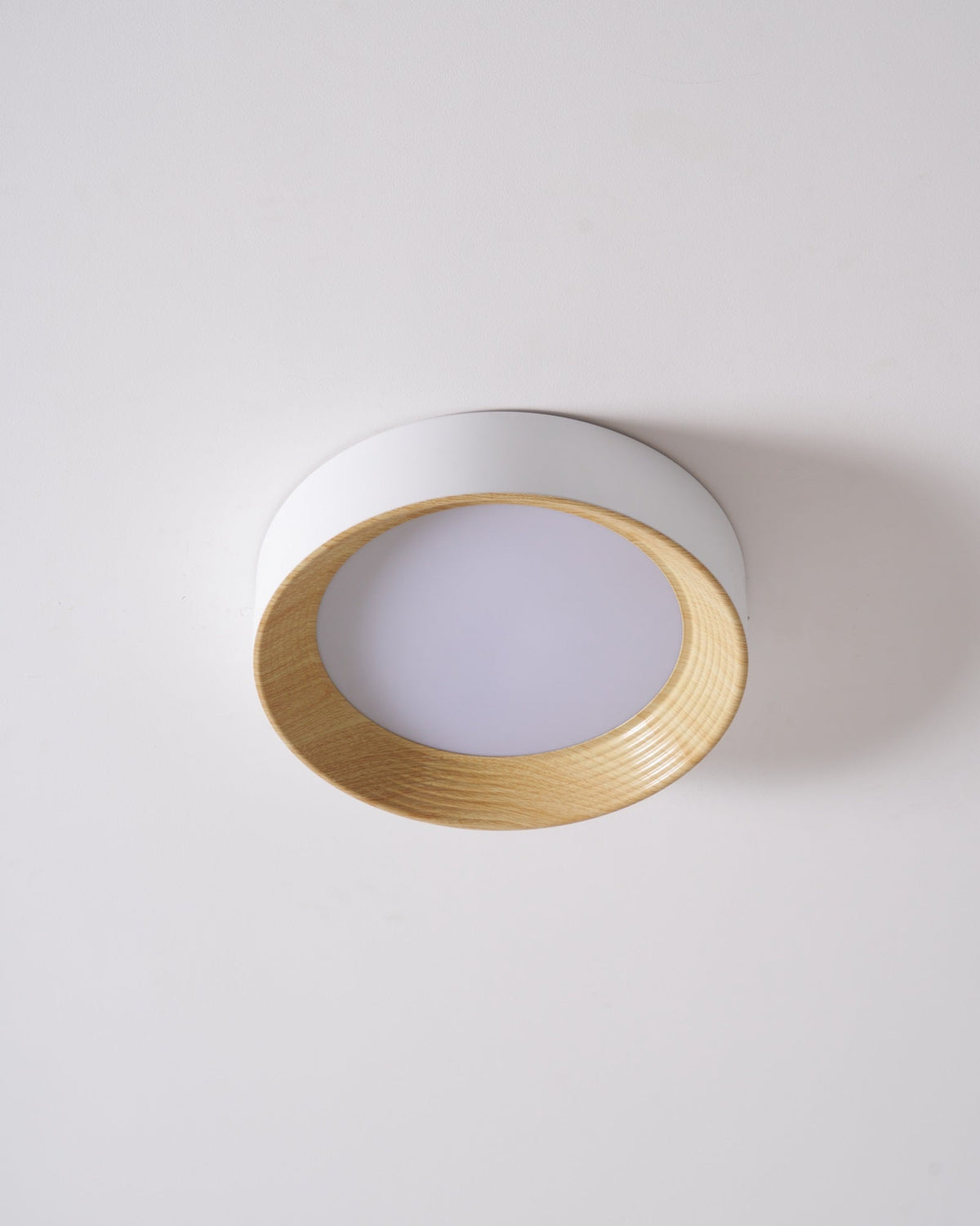 Paxburn Round Ceiling Light