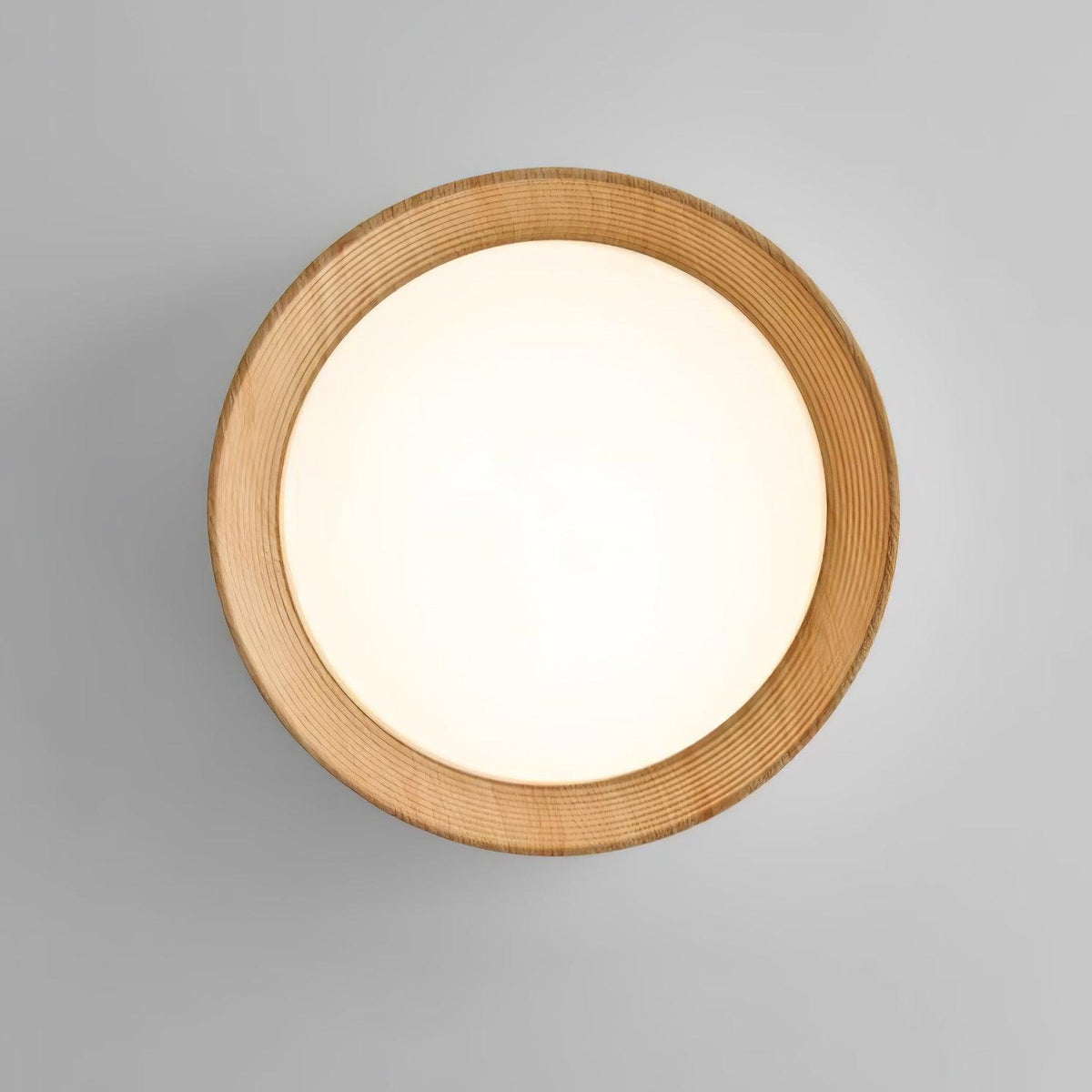 Paxburn Round Ceiling Light